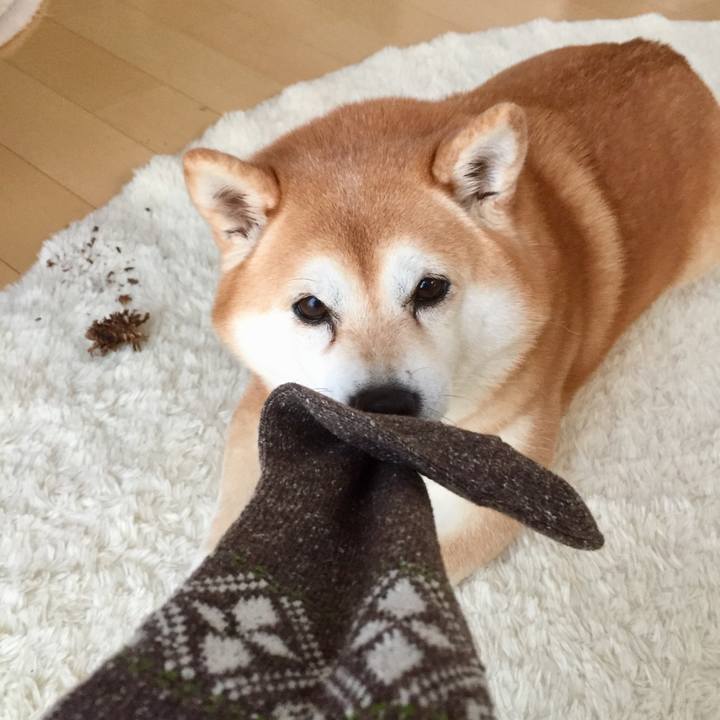 8adc1454 6291 40c5 a606 cae759896bcc 1640305126904