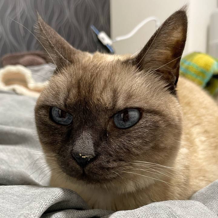 8adc26bb 764c 461c b01c a4a169e58288 1768010027097