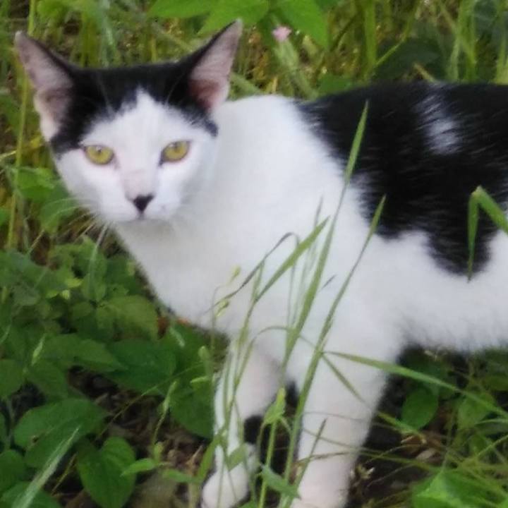 8adc38d8 e741 4dda b24d f6ef77a92290 1591661061715