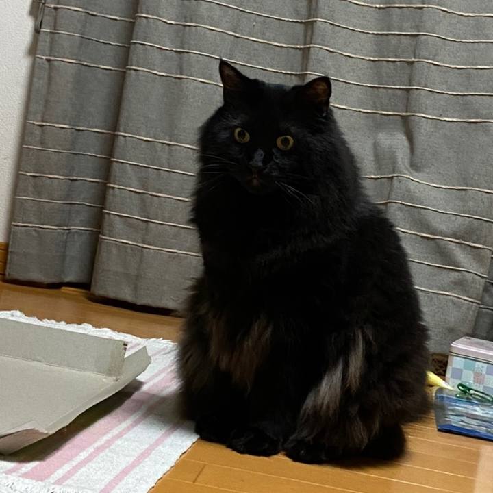 8adc4081 f49e 4414 9421 4fa841eb13e9 1630371236391