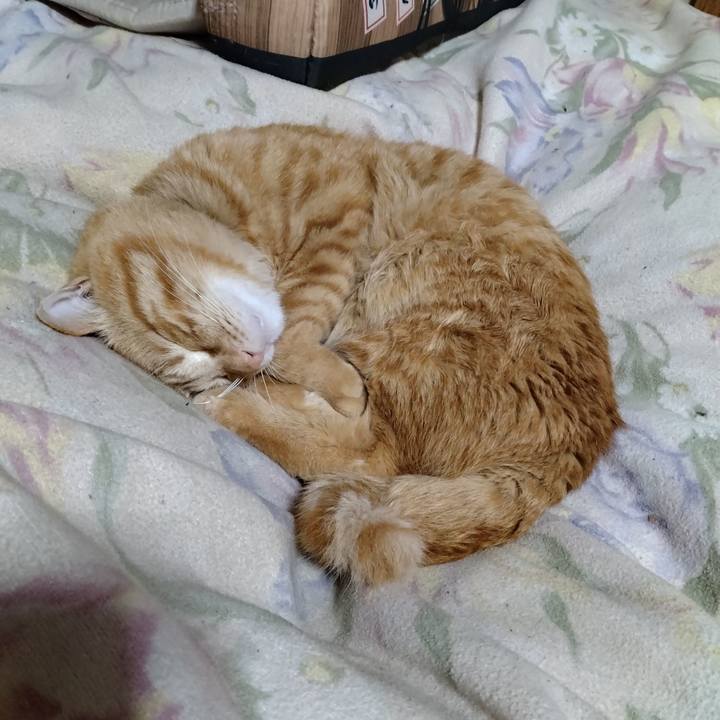 8adc40aa 4ae7 4a27 9029 982636c9f1c0 1679142808259