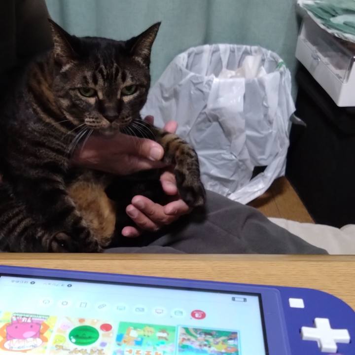 8adc5b2c cb4e 49b7 b3ec c238856f97e0 1768656418216