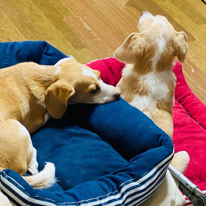 8adcc66a cd82 4e42 9bd0 e8bd0af2c174 1570335553956