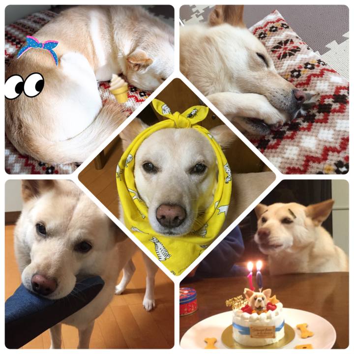 8add0959 82ee 4c55 9e74 b69c007f66b7 1528162220847