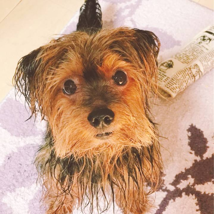 8add1338 7021 41a3 a440 ceafc2c281ac 1532218949111