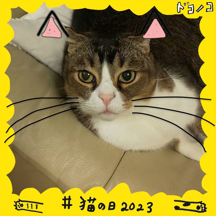 8add3336 34dd 4e33 b6f0 8c82fb038127 1677040175162