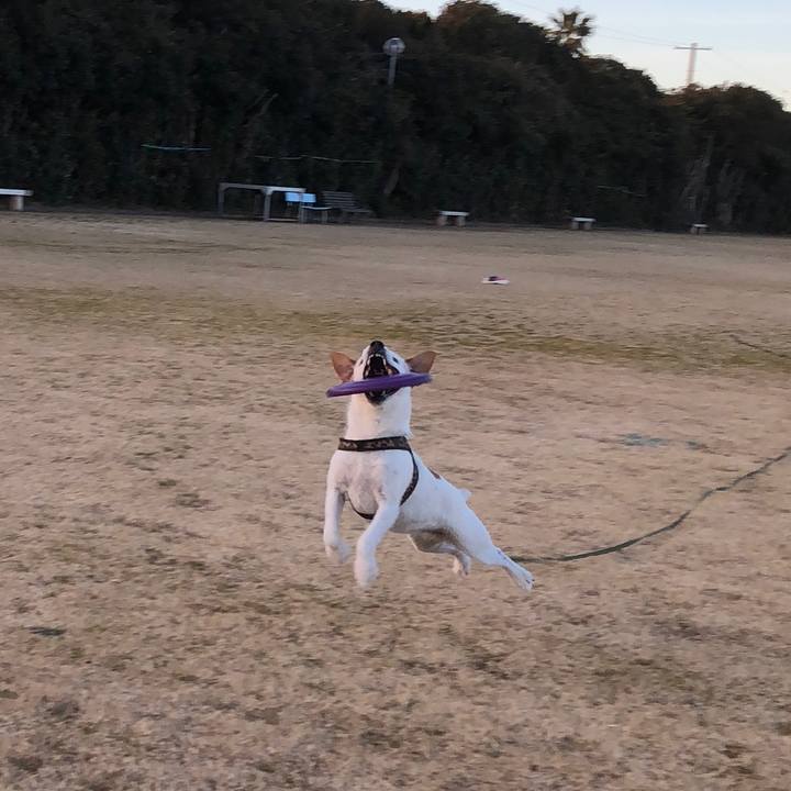 8add36ef eaa6 4857 bf29 53768a14abd3 1515921680267