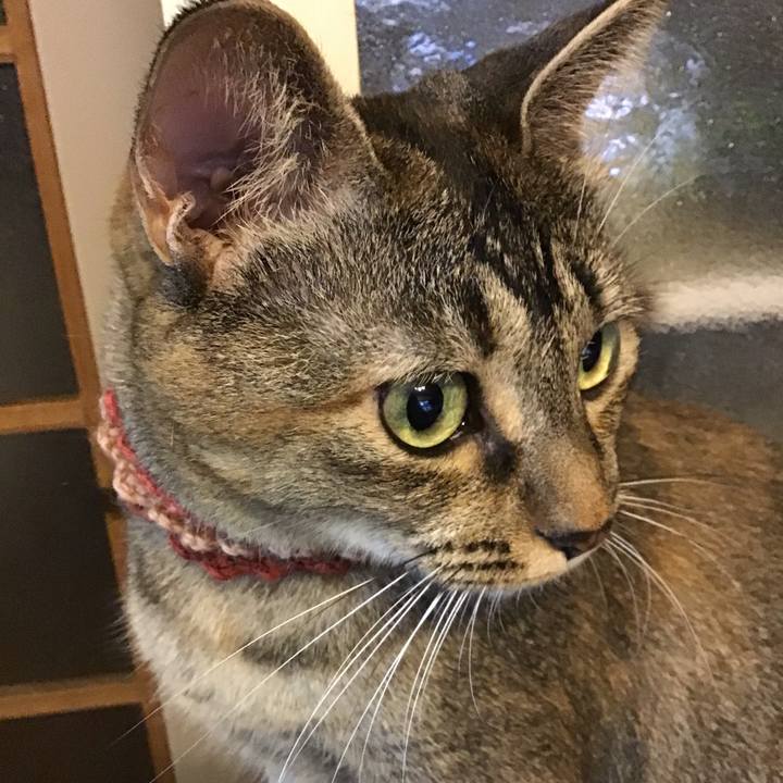 8add5b04 5450 426f b5a1 eae529abd2b8 1630663919191