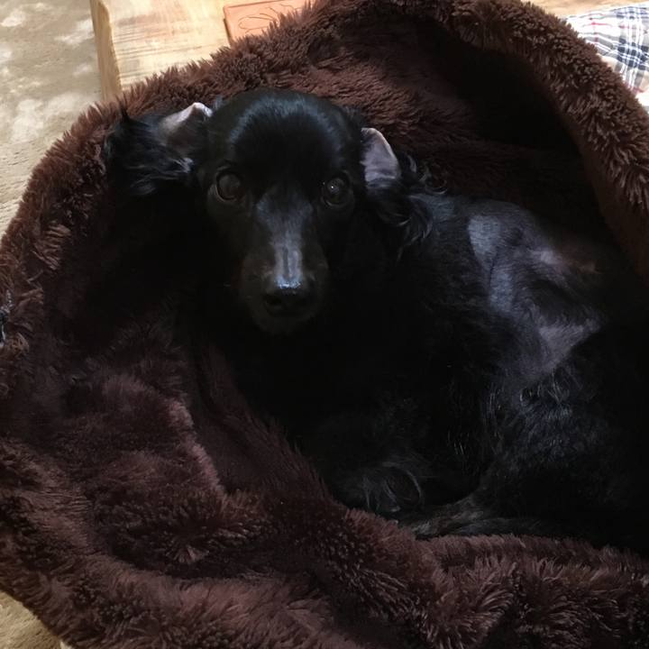 8add6092 e9c7 44fa a534 0305a000aea7 1521149558684