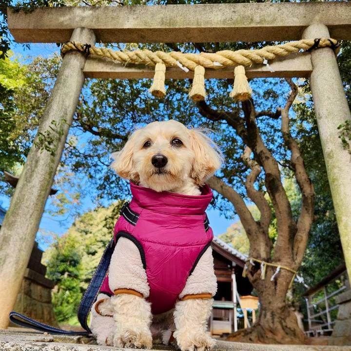 8add6aed 8345 4278 824b 275f1648f9fe 1769741132477