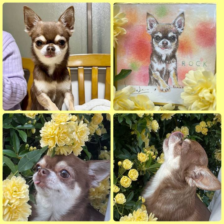 8add88b5 cae8 4100 8265 88590be4ac8e 1713686077973