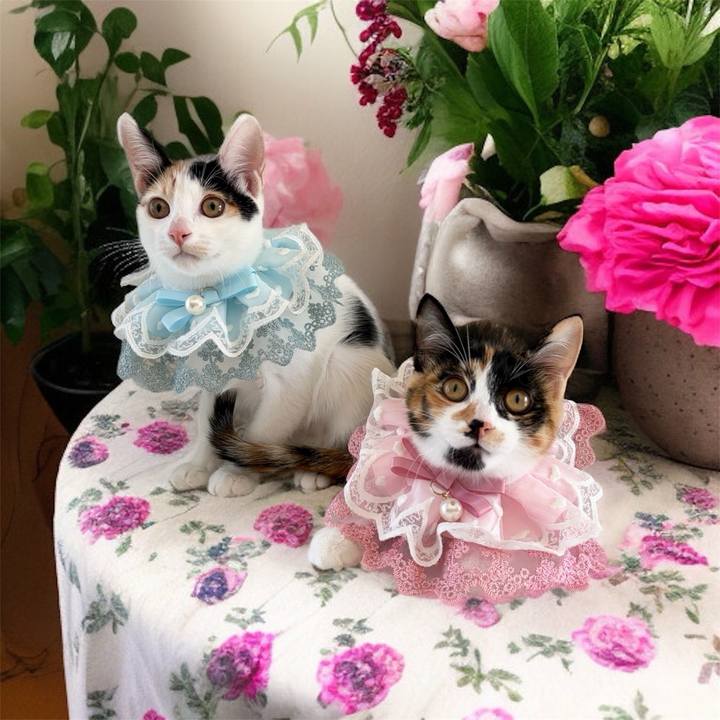 8addceea ff7e 4ad6 a59e 00dc318990c8 1759042986682