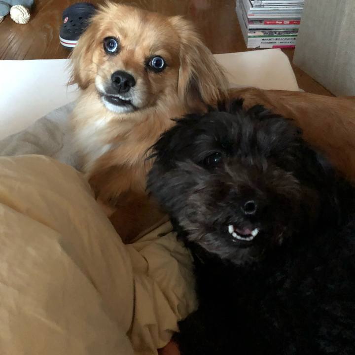 8adde161 aa28 4d39 9795 fd6cc0d3e4db 1525434996821