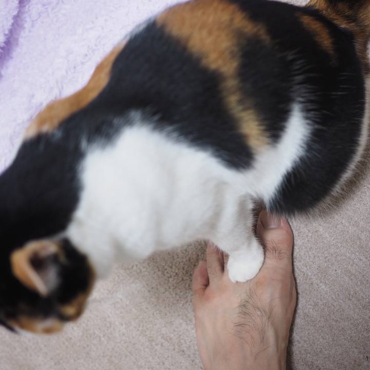 8adde1de 06cd 4ebc b4cd 1b7ee36ea196 1516797595786