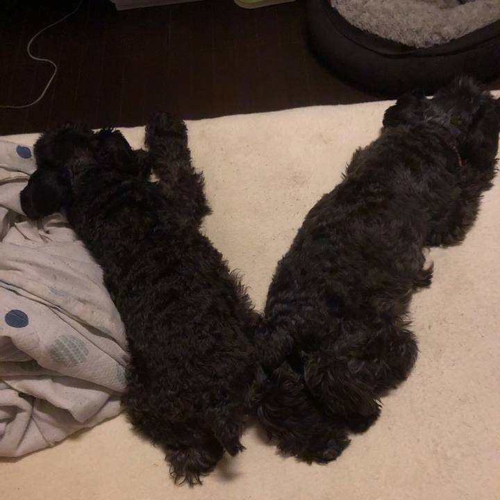 8addf2b5 f799 4cb1 a891 772aa0901902 1566572890088