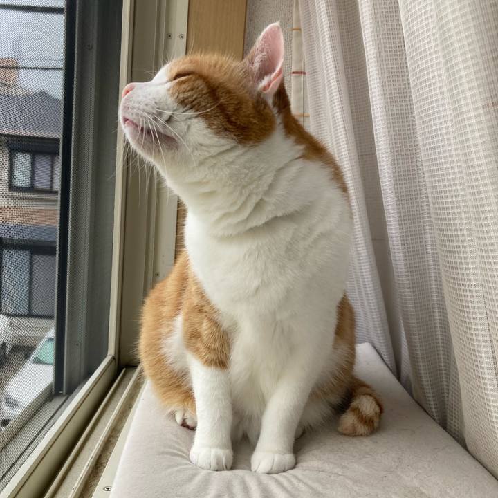 8addfd65 b2e2 40f8 b174 de80d48c2928 1755132448609