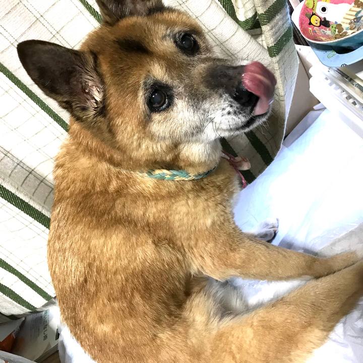 8addfeb1 b6af 47f9 a2fb a23245b062e5 1554071979160