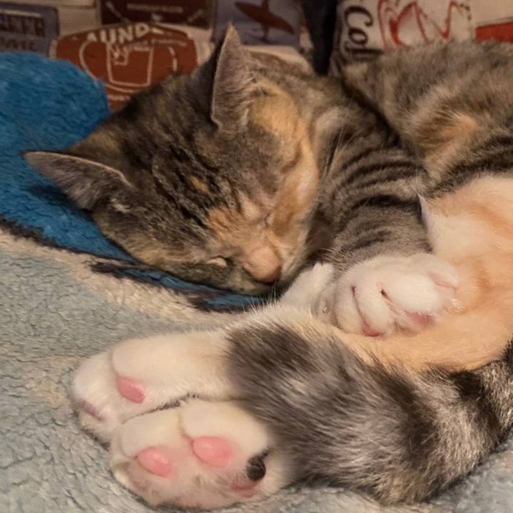 8ade0b21 a954 41e2 a767 690174a0d081 1588091735881