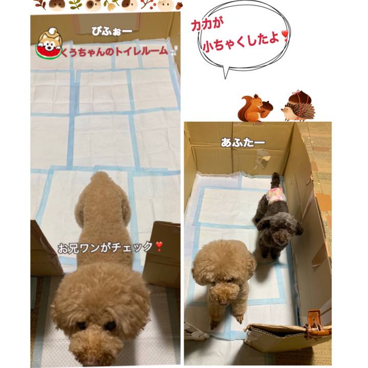 8ade3e47 66c3 4ecb b450 fe3ab2faf09e 1568529331400