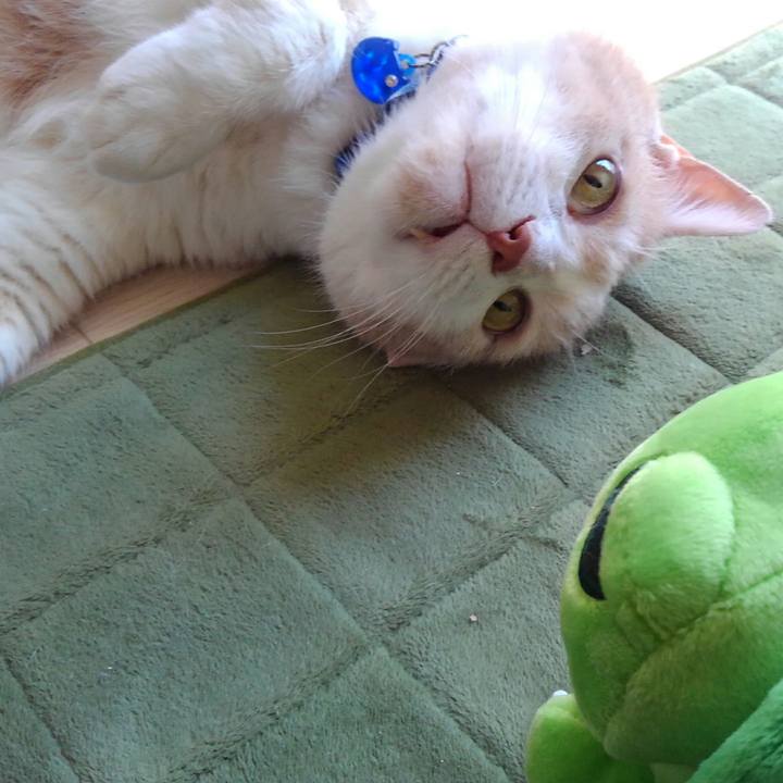 8ade8863 7900 4eed af25 a060ef356e37 1567819800820