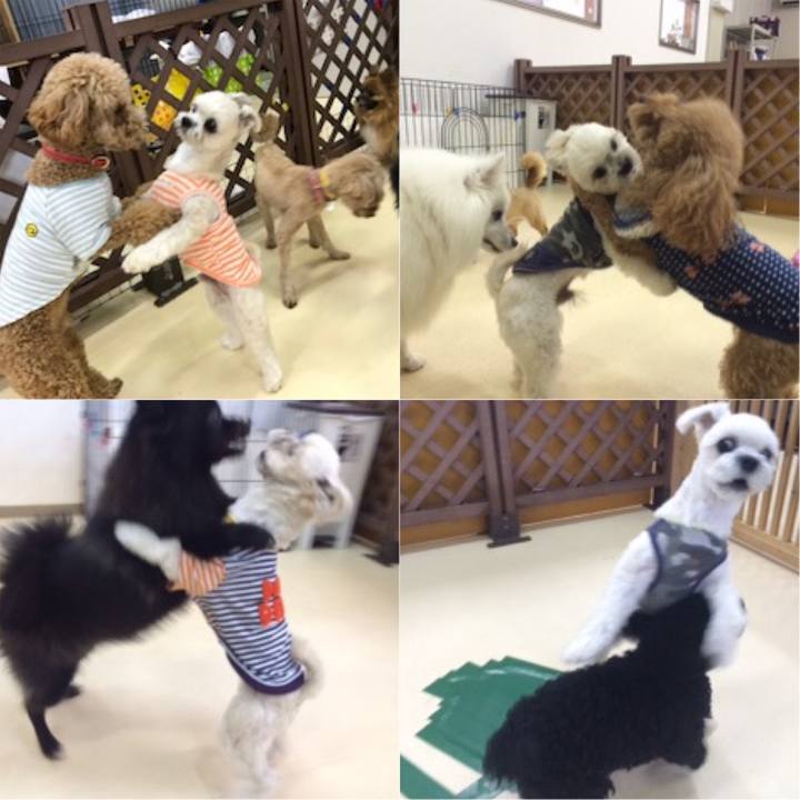 8adea942 8399 4e45 bbca 3acee7683eec 1526715818796