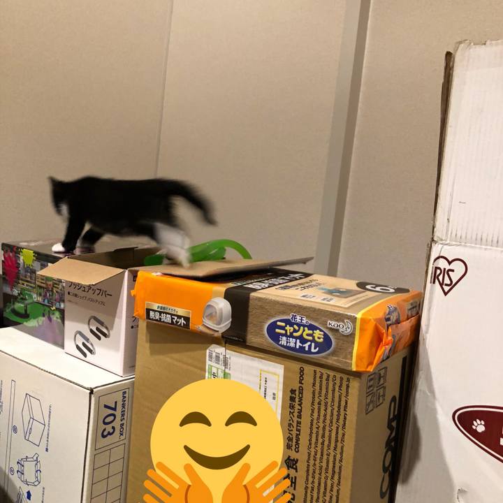 8adeaa30 04d1 40a2 b9bc 2a33e31190b7 1537593740942