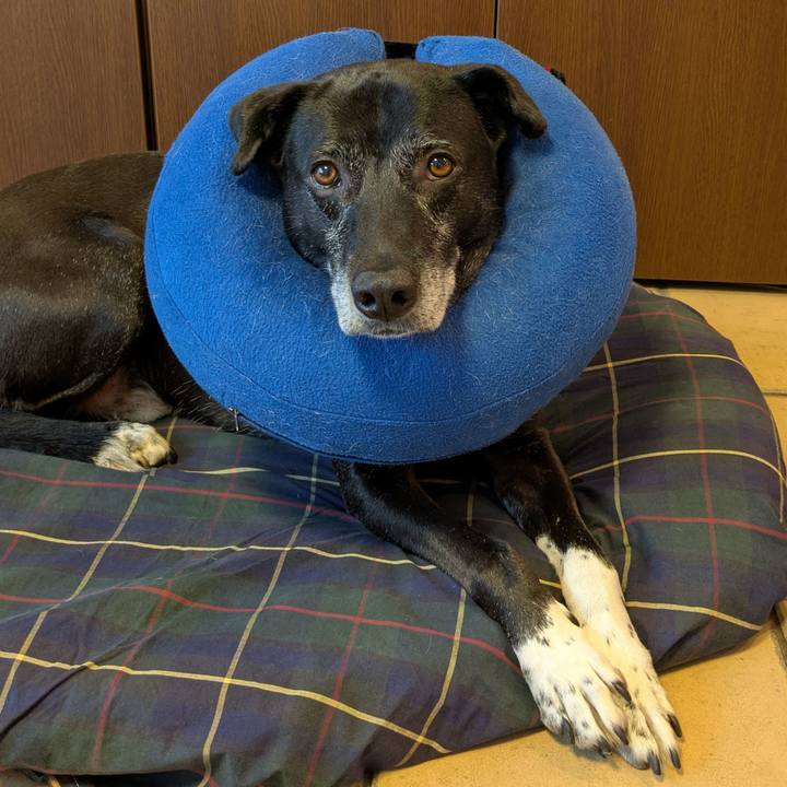 8adeb3fb 9a32 423c abb4 19d64b8712bc 1749513482364