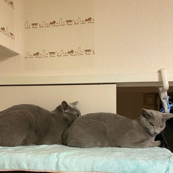 8adec23b 84c8 42c5 bec6 74419171d985 1636628630253