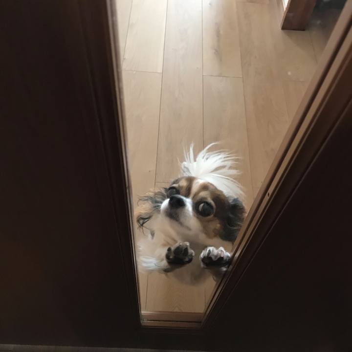 8adec3ff 3153 4798 a94b 2e917f7621ef 1570275505265