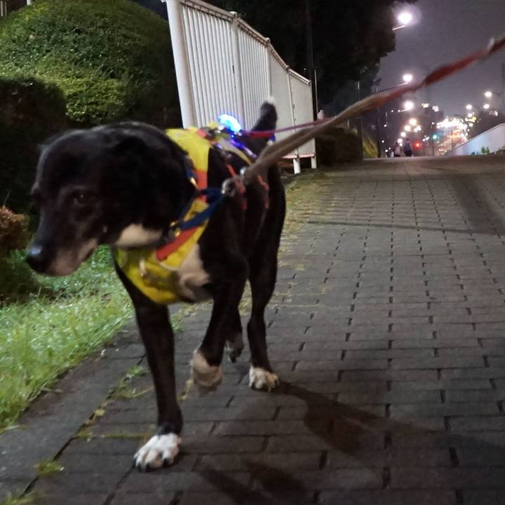 8adf5a1b 8a05 430b 9528 926b3df7dff2 1774015682234