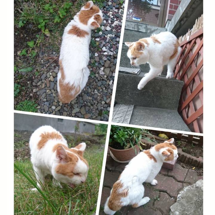 8adf6122 2401 49c6 92c9 312216ed361c 1567223454342