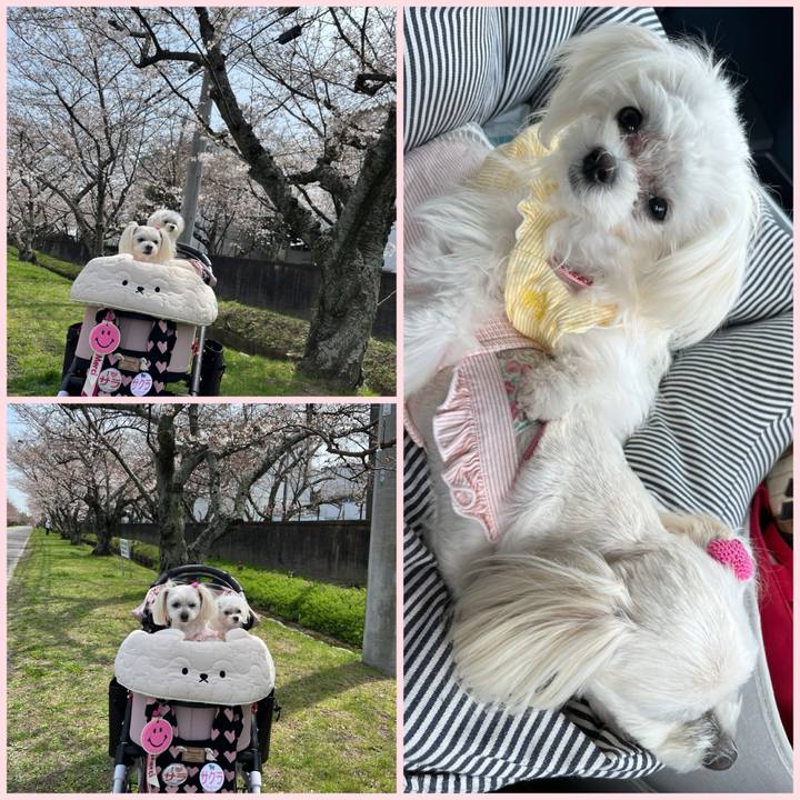 8adfb359 cb5c 4fe2 be13 9f87930deae8 1712048388908