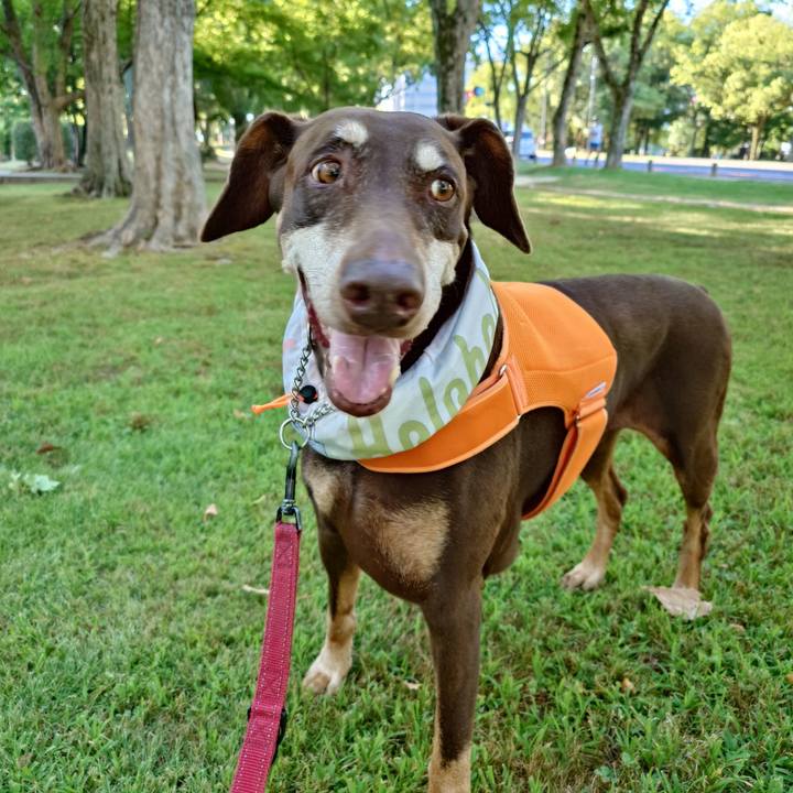 8adfca33 13bb 48f3 a634 020efb2f81ec 1764125907648