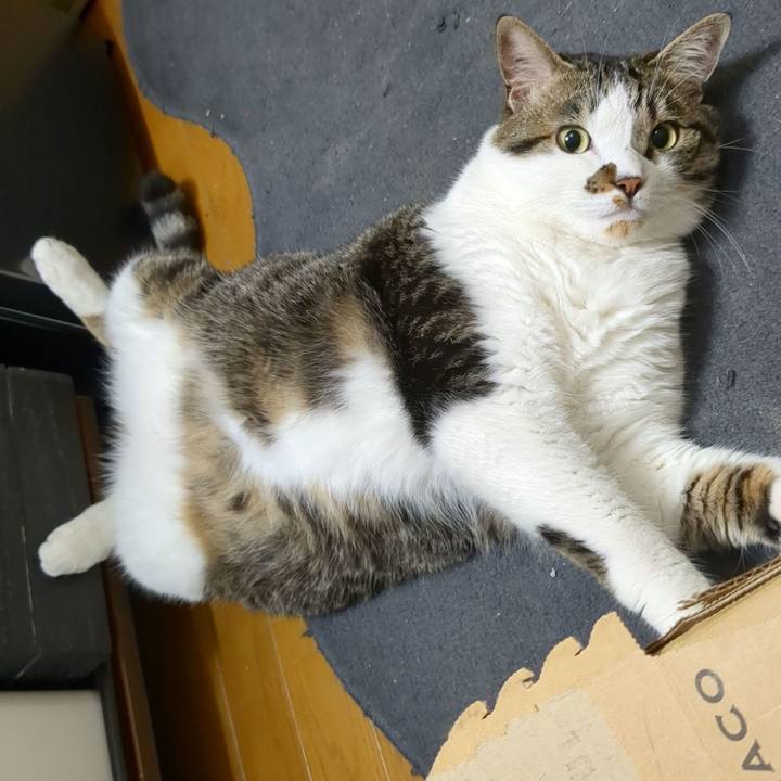 8adfec2f 8a76 469f a16f 560c4cfa8402 1716987075656