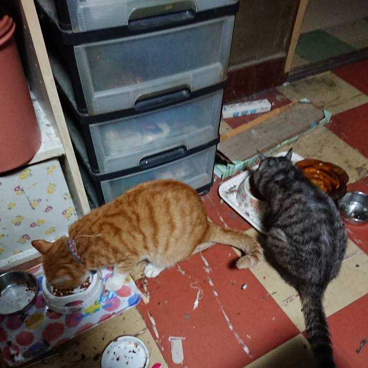 8adff33e 765a 4fa8 81c5 53055afbf43d 1568318756656