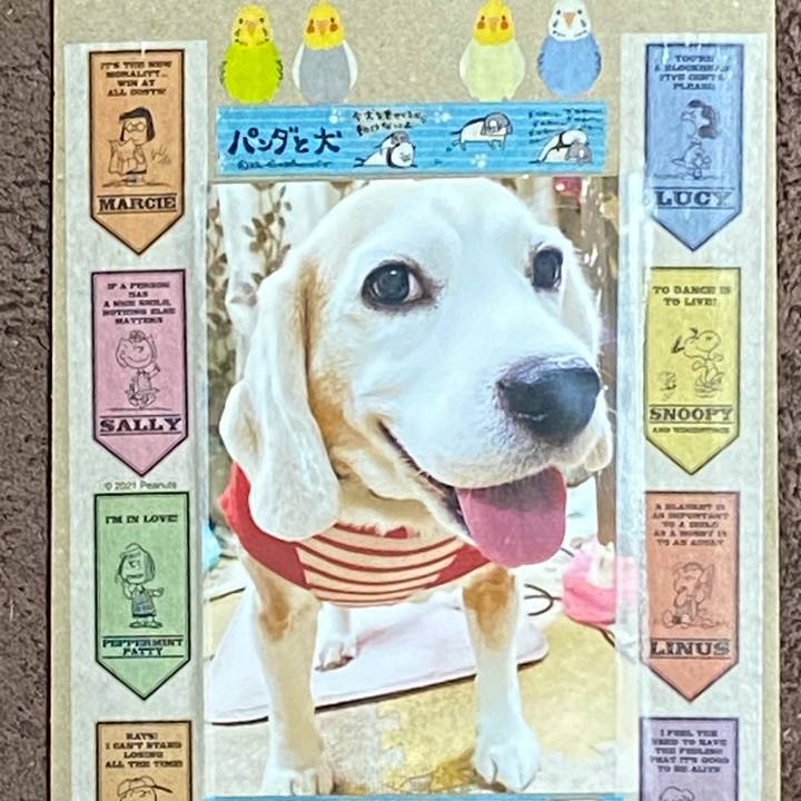 8adffd5f 0bda 4d61 ae40 8ef80c784b43 1672463196291