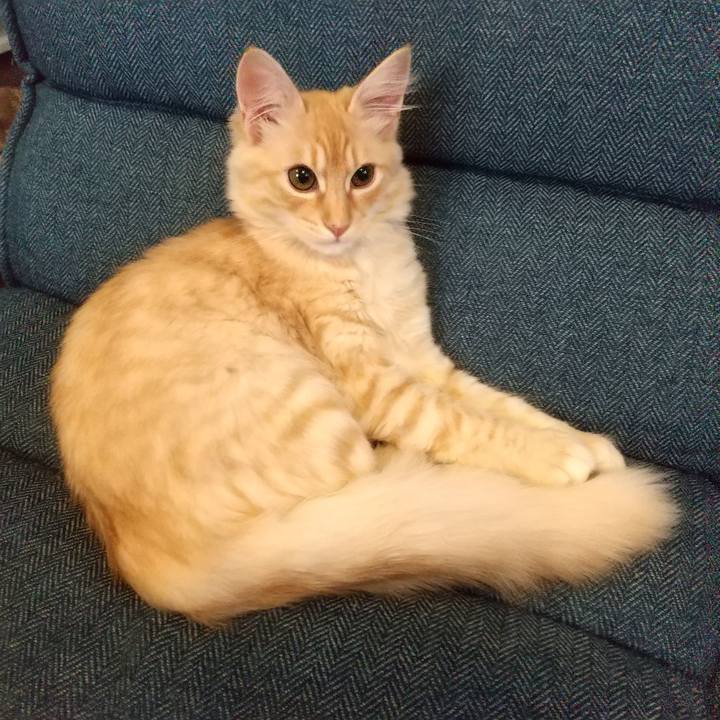 8ae063aa a500 4261 a2d1 c90293598b10 1610685083939