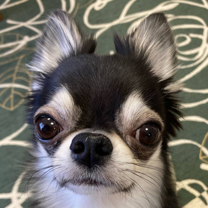 8ae07cb3 bf97 4c0f bf5f 6c22a99de054 1647732444229