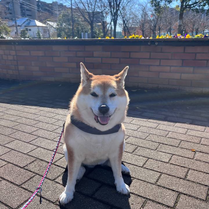 8ae0920e a360 4e15 8d04 fc360405ca88 1772955146181