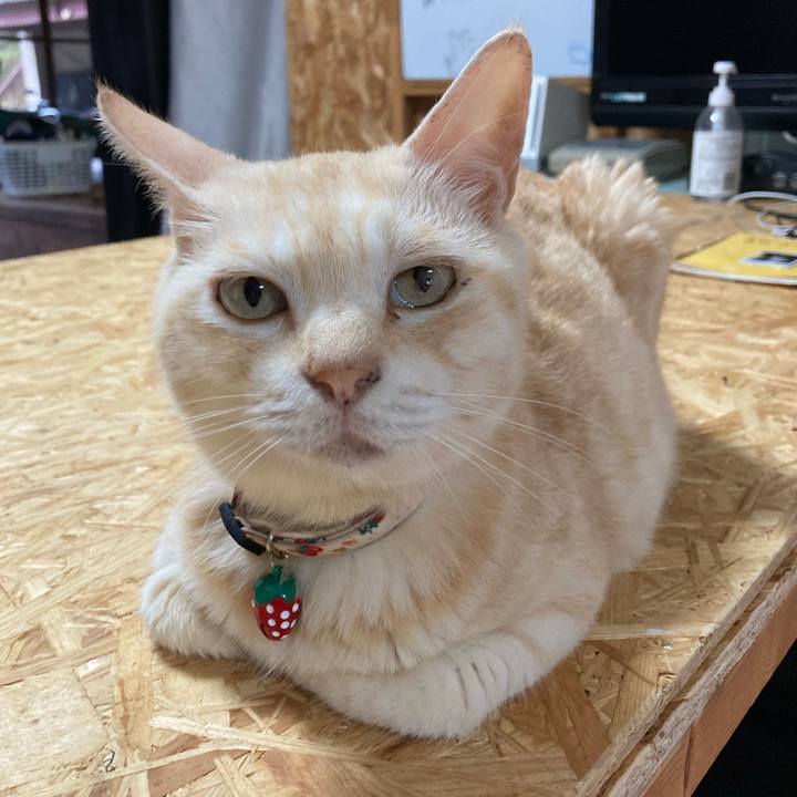 8ae09bd0 624b 4ed3 a115 fdf343e50af1 1689770852243