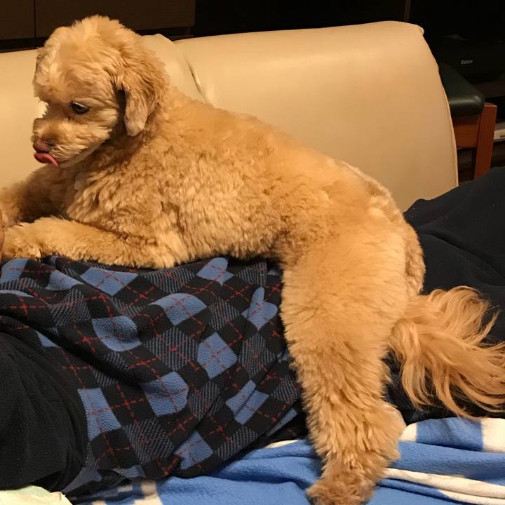 8ae101b4 9873 431e 8cab b991d8f9d02e 1521687636078