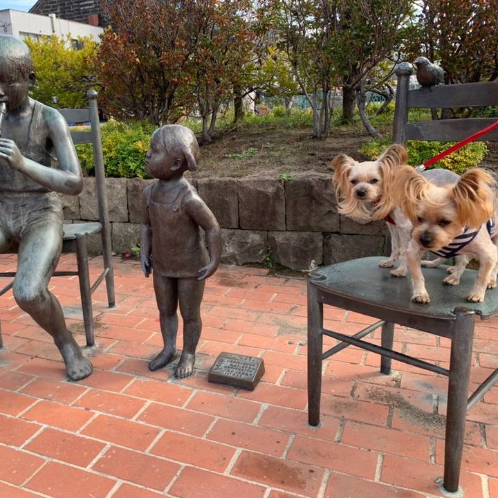 8ae11783 d167 427b 9433 f09fe1b23d5d 1634205112714