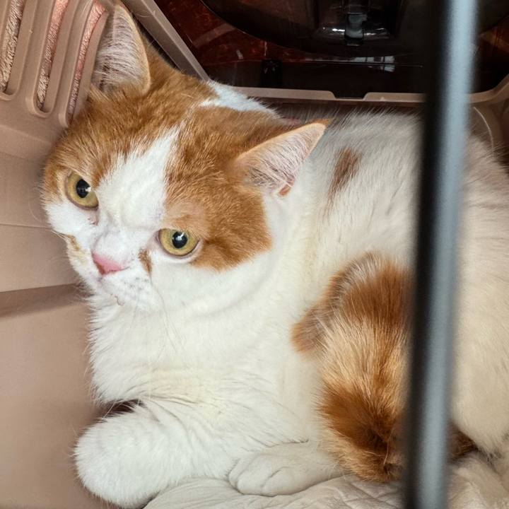 8ae1365a d8c2 4d8a b8a6 4127a6f56443 1775877889069