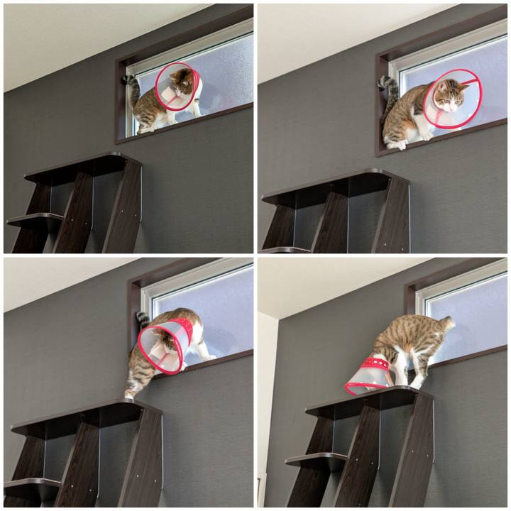 8ae19390 2794 4659 9be1 7b50a72baf8f 1751003796981