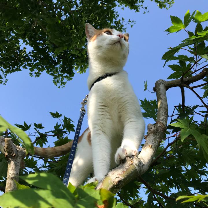 8ae19bdb cded 4026 9ef1 ffb547f12f6a 1527317939309