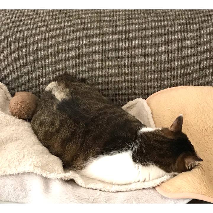 8ae1b164 97bf 4562 98e0 8505417c3295 1617423906709