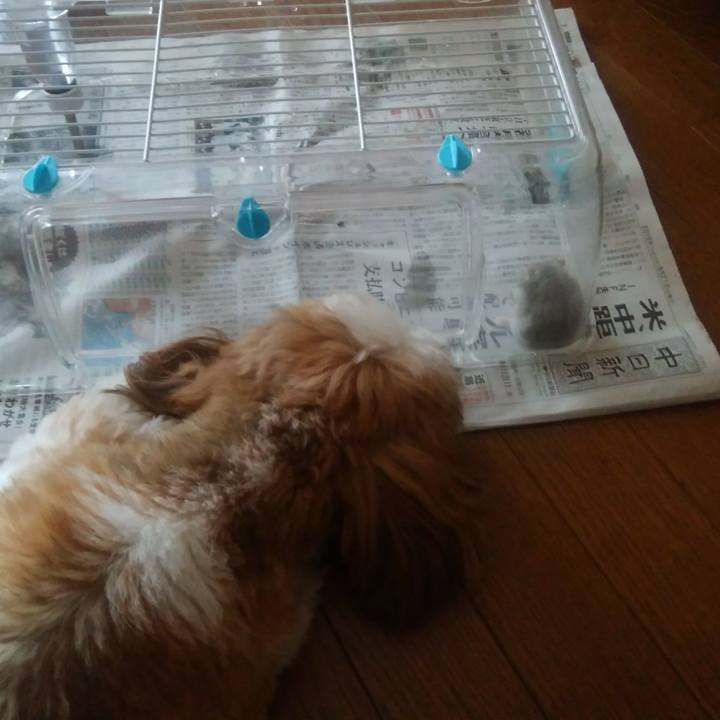 8ae256de 46b8 49ae bd38 7b1704f92046 1566434943522