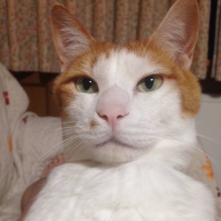 8ae2aa53 fa1f 4b08 ab61 91ca914af0e1 1559395254139