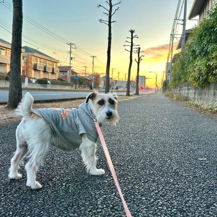 8ae2ba04 0ca6 4905 b008 ab314eab073e 1703774714227