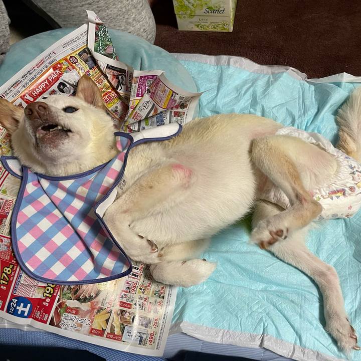 8ae30044 d027 449d 8f70 200d5840dc60 1671967756498